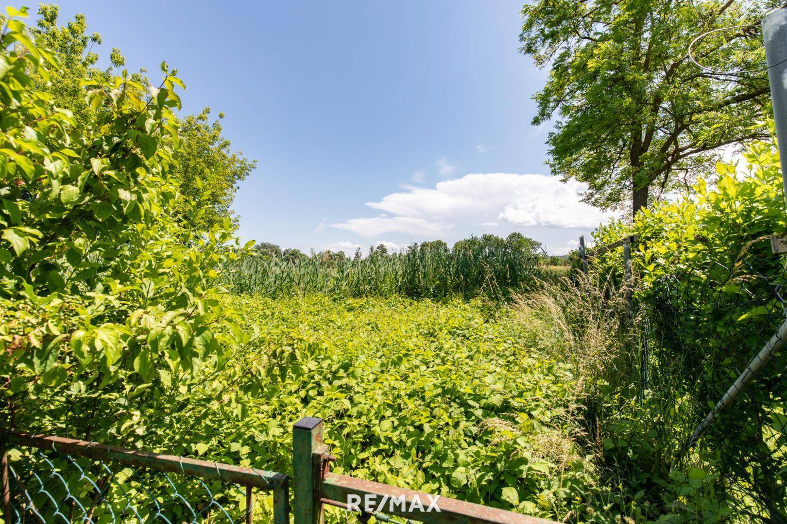 Natürliche Grenze zum Burgenland