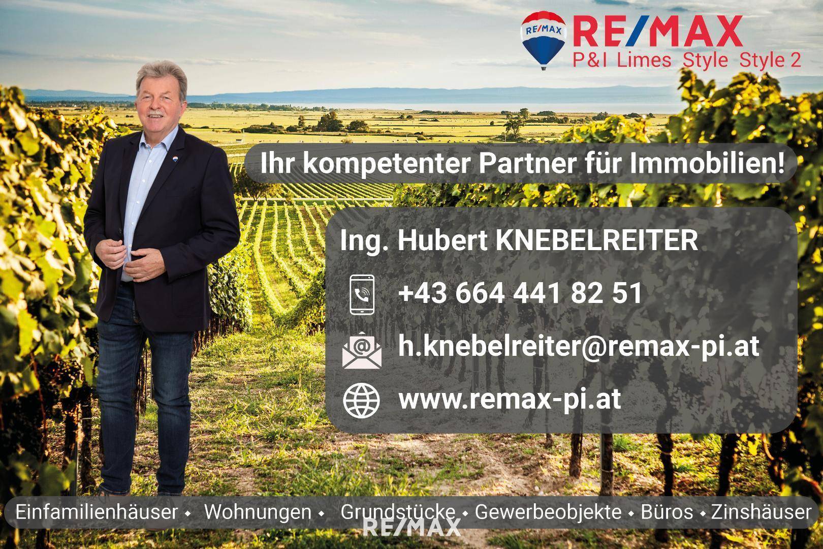 #remaxstyle