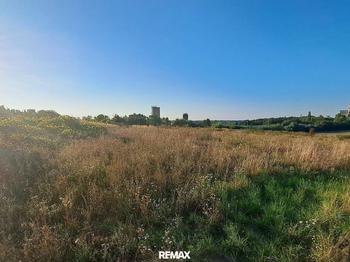Weitläufiges, ungenutztes Feld mit hohem Gras und Blick auf die Ferne unter blauem Himmel.