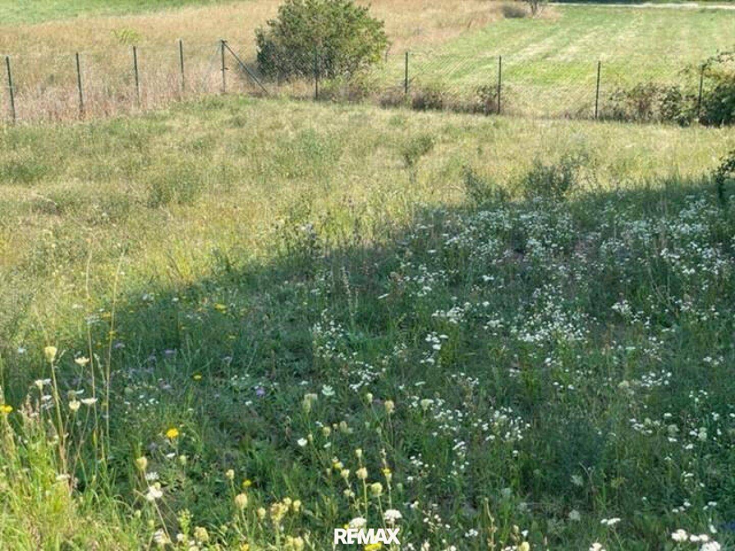 Grundstück in sehr guter Lage - Widok 3