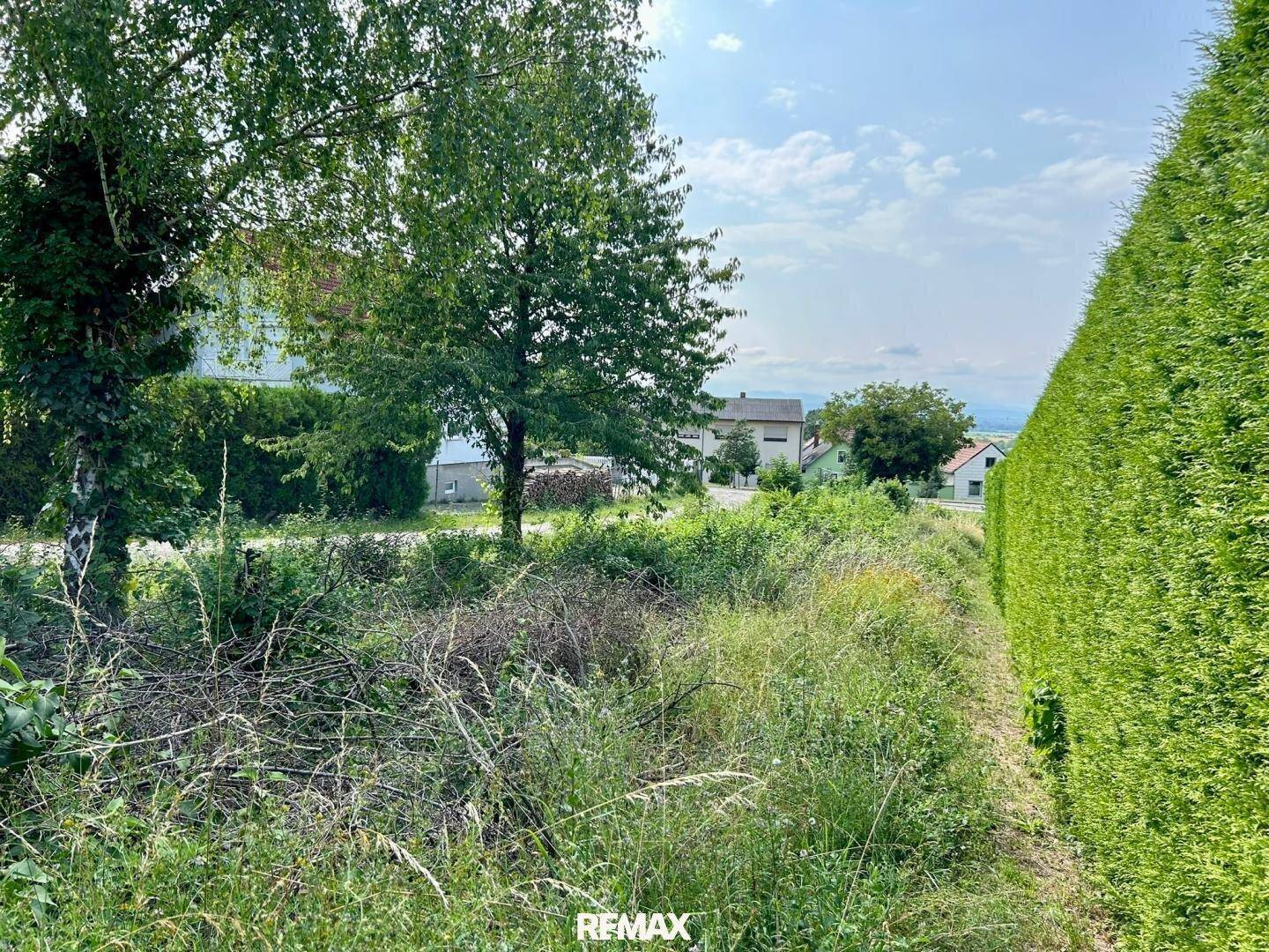 Grünes Grundstück mit hoher Hecke und Bäumen, umgeben von weiteren Wohnhäusern.