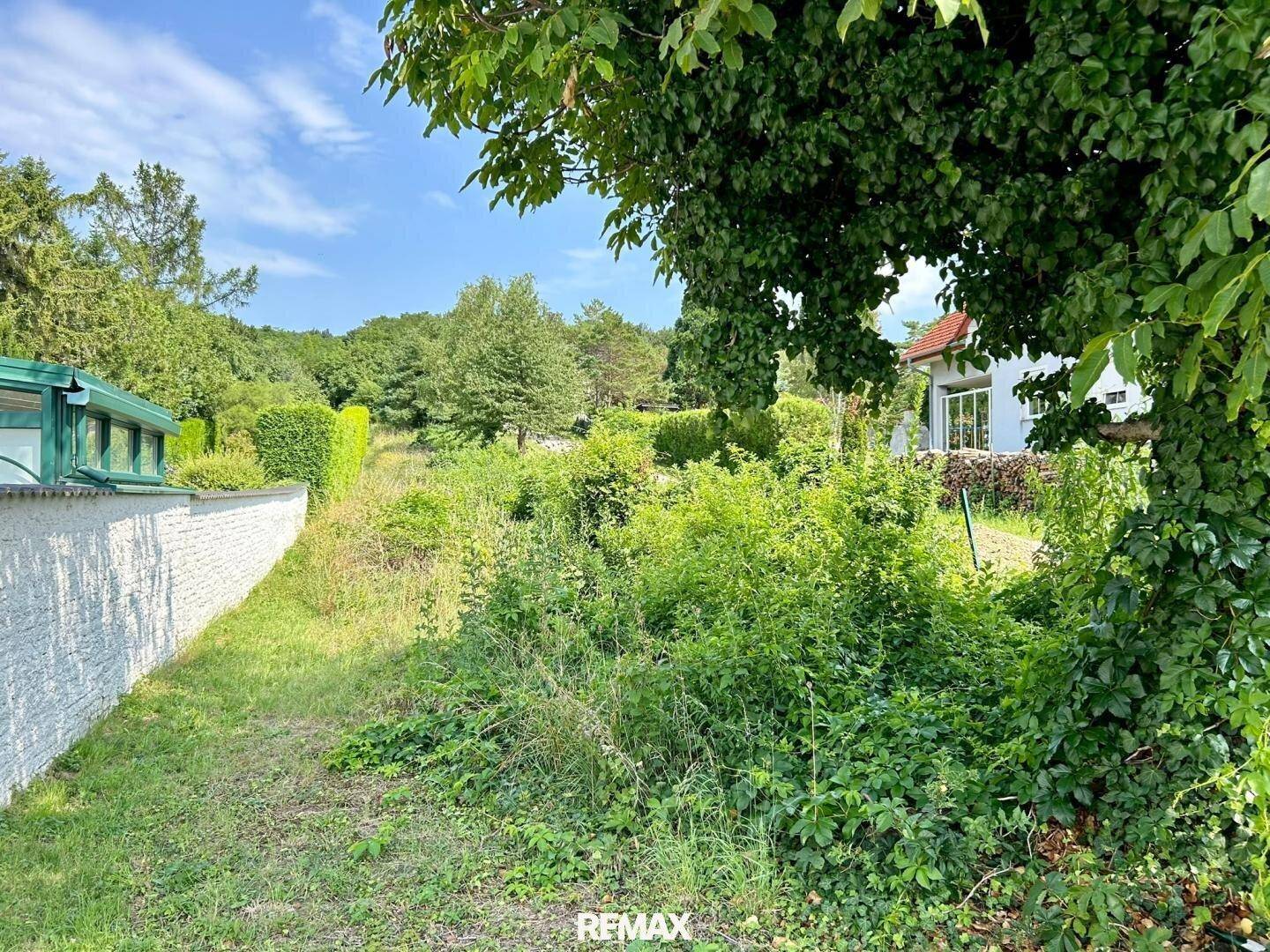 Blick auf ein unbebautes Grundstück mit üppiger Vegetation und einem Haus im Hintergrund.