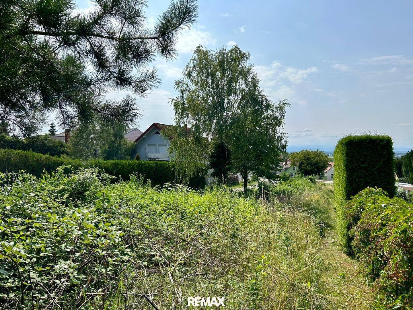 Weitläufiges, grünes Grundstück mit Bäumen, Hecken und einem Haus in der Ferne.