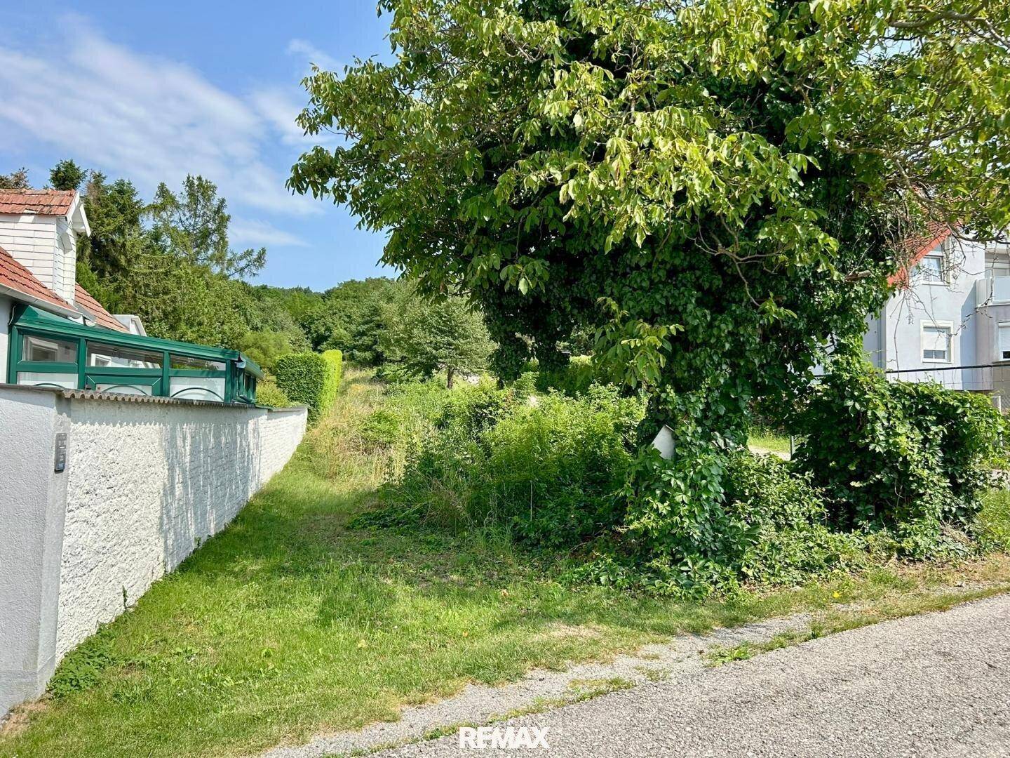 Unbebautes Grundstück mit dichter Vegetation, umgeben von einer weißen Mauer und einer Straße.