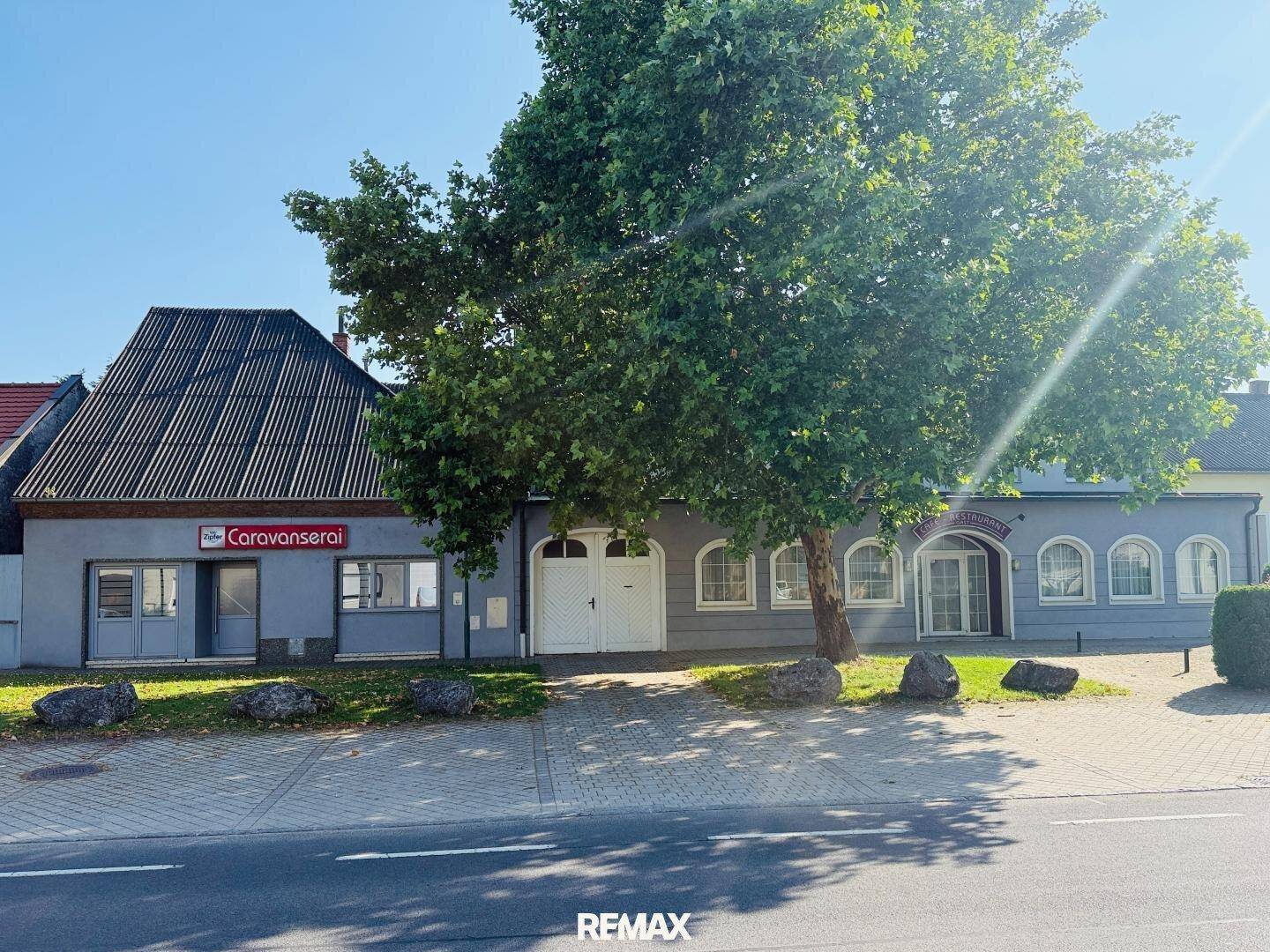 Ansicht des Gebäudes von der Straße mit einem großen Baum und einem Café-Restaurant.