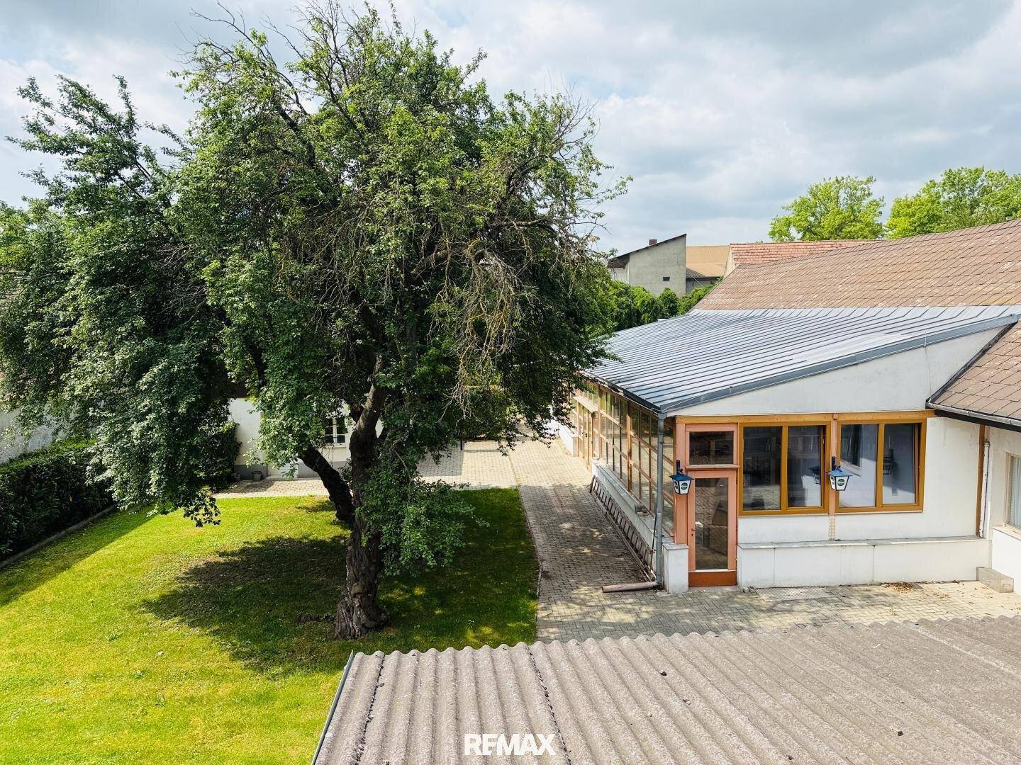 Draufsicht auf das Gebäude mit Garten, gepflastertem Weg und einem großen Baum.