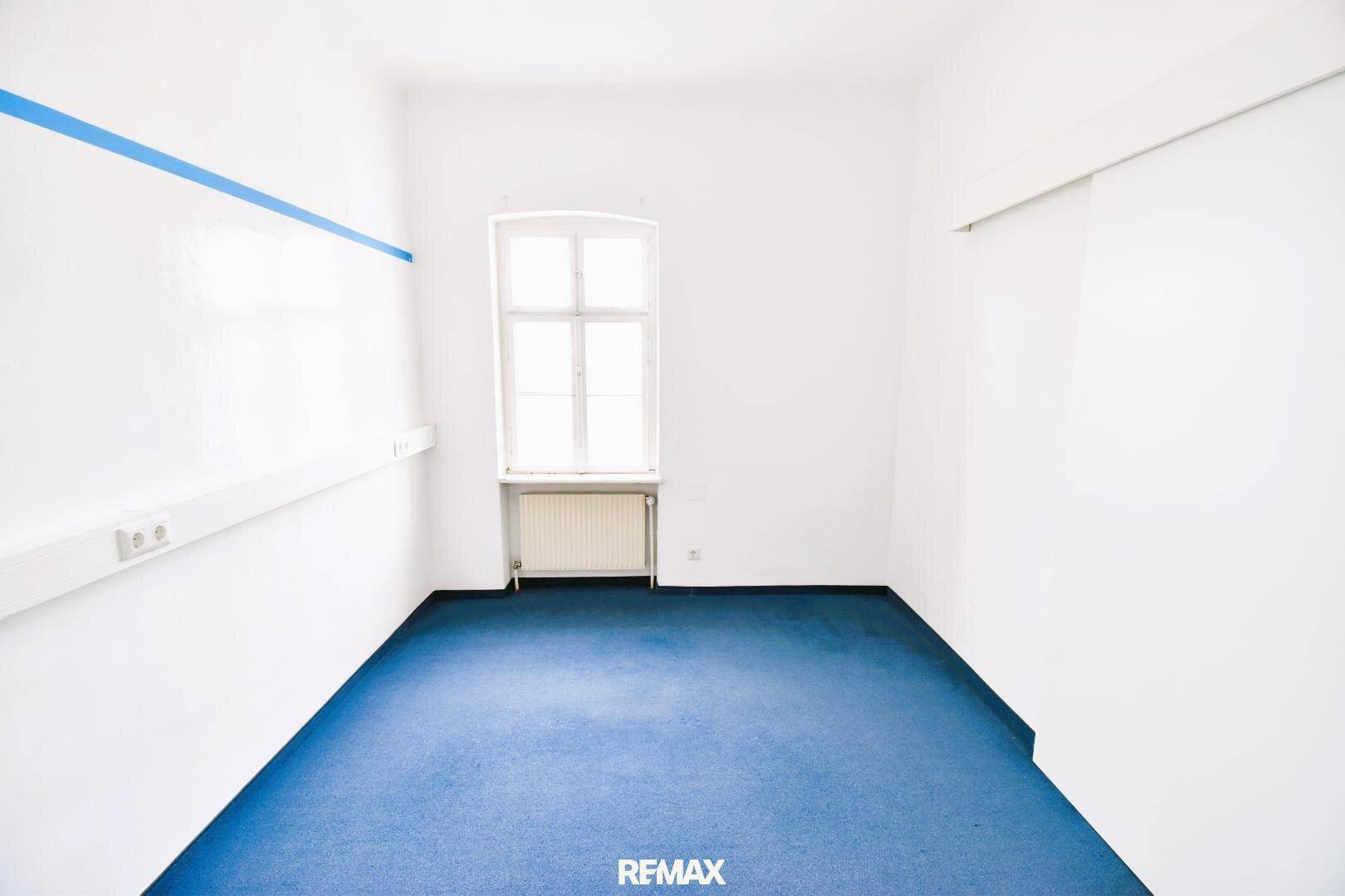 Leerer Raum mit blauem Teppichboden und weißen Wänden, einem Fenster und einer blauen Zierleiste.