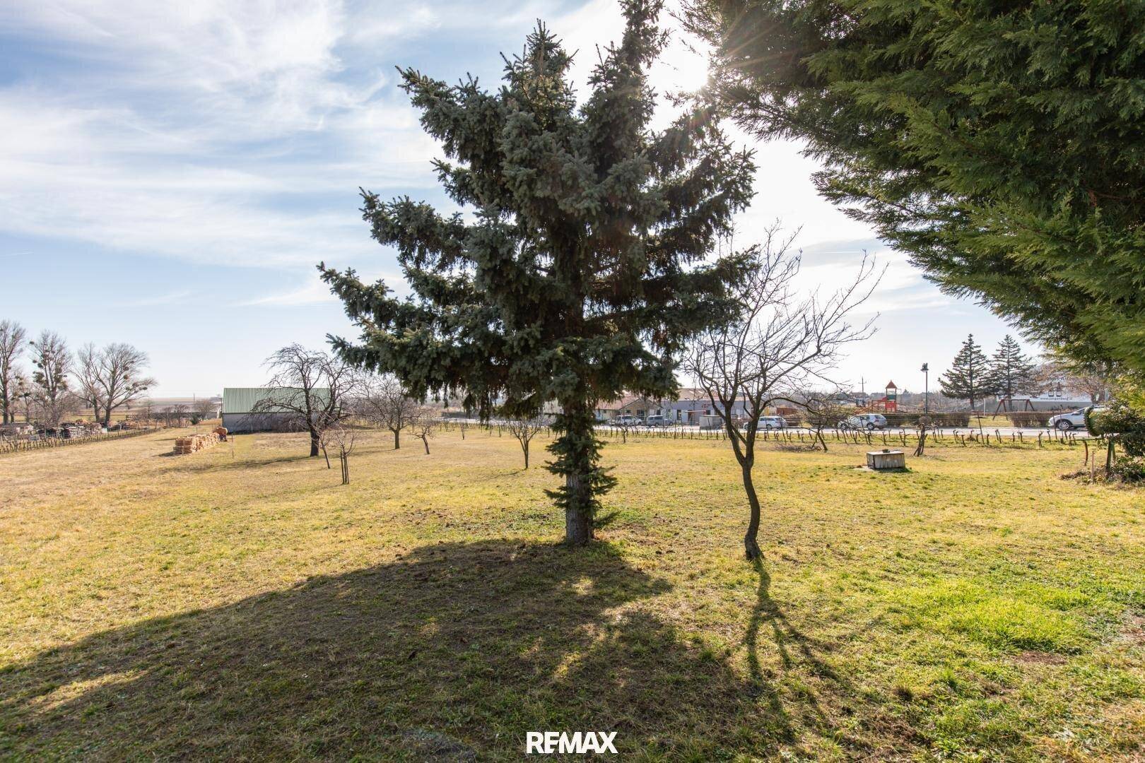 Weitläufiger Gartenbereich mit großen Bäumen und einem weiten Blick auf die umliegende Landschaft.