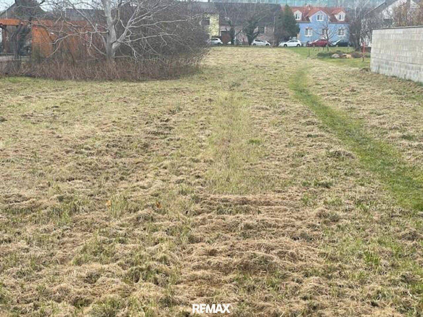Großes, grünes Grundstück mit einem Trampelpfad in der Mitte und Häusern am Horizont.