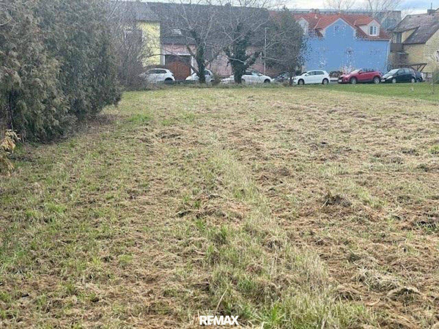 Grüne Wiesenfläche eines Grundstücks mit Blick auf geparkte Autos und Häuser in der Ferne.