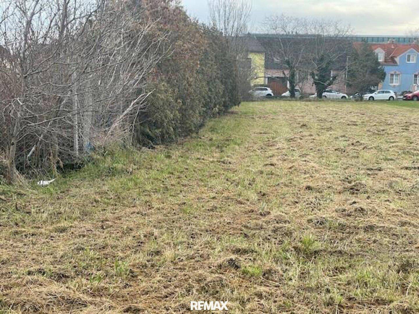 Weitläufiges, grünes Grundstück mit einer Hecke an der Seite und Gebäuden im Hintergrund.