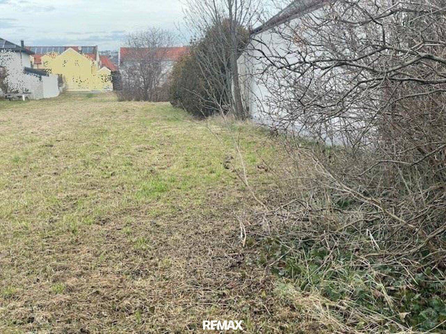 Blick über ein grünes Grundstück mit hohem Gras und Sträuchern, angrenzend an ein weißes Gebäude.