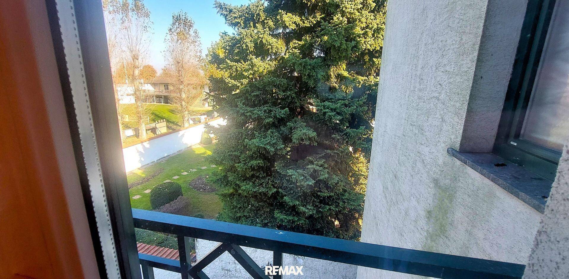 Blick vom Balkon auf den grünen Garten mit hohen Bäumen und sonniger Atmosphäre.
