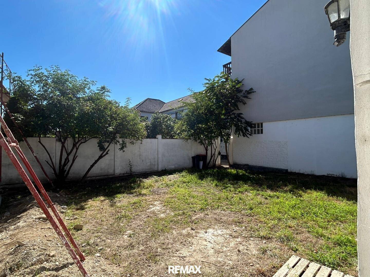 Blick in einen sonnigen Gartenbereich mit Rasen, Bäumen und einer Mauer im Hintergrund.