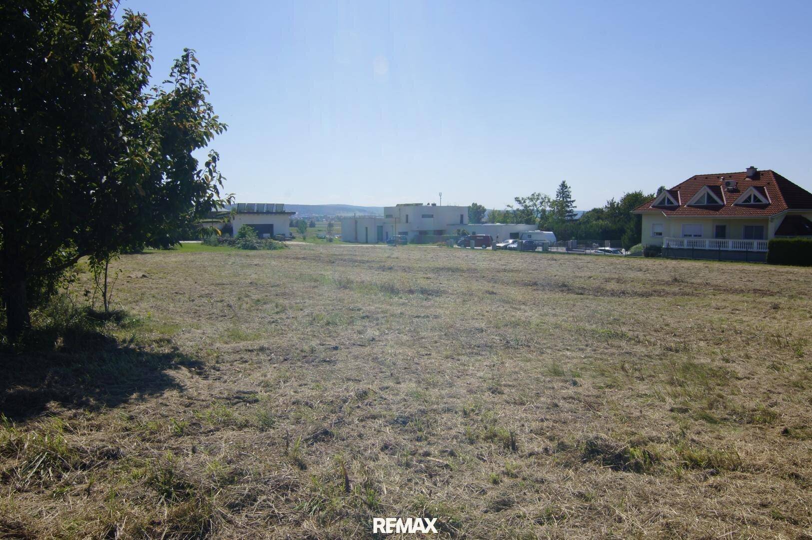 Offenes Grundstück mit trockenem Gras, einem Baum im Vordergrund und Blick auf moderne sowie traditionelle Häuser.