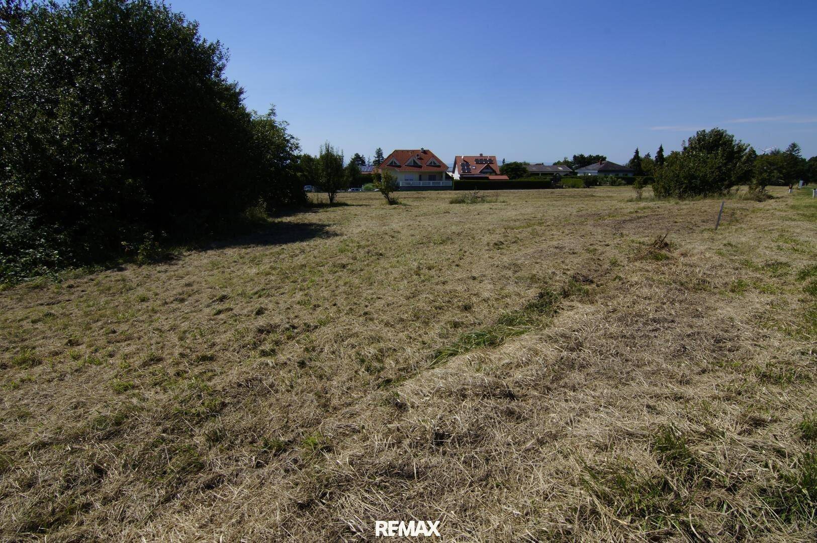 Großes, offenes Grundstück mit trockener Wiese und Bäumen am Rand, umgeben von ländlicher Bebauung.