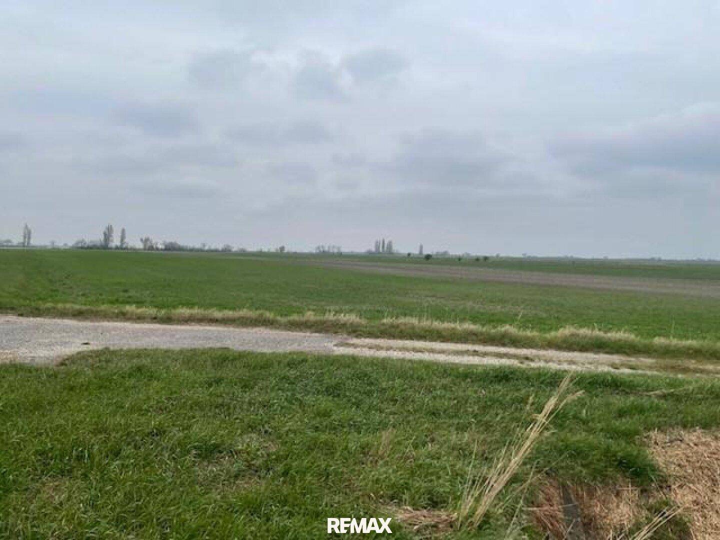 Ländliche Landschaft mit weiten grünen Feldern und einem Schotterweg im Vordergrund unter bewölktem Himmel.