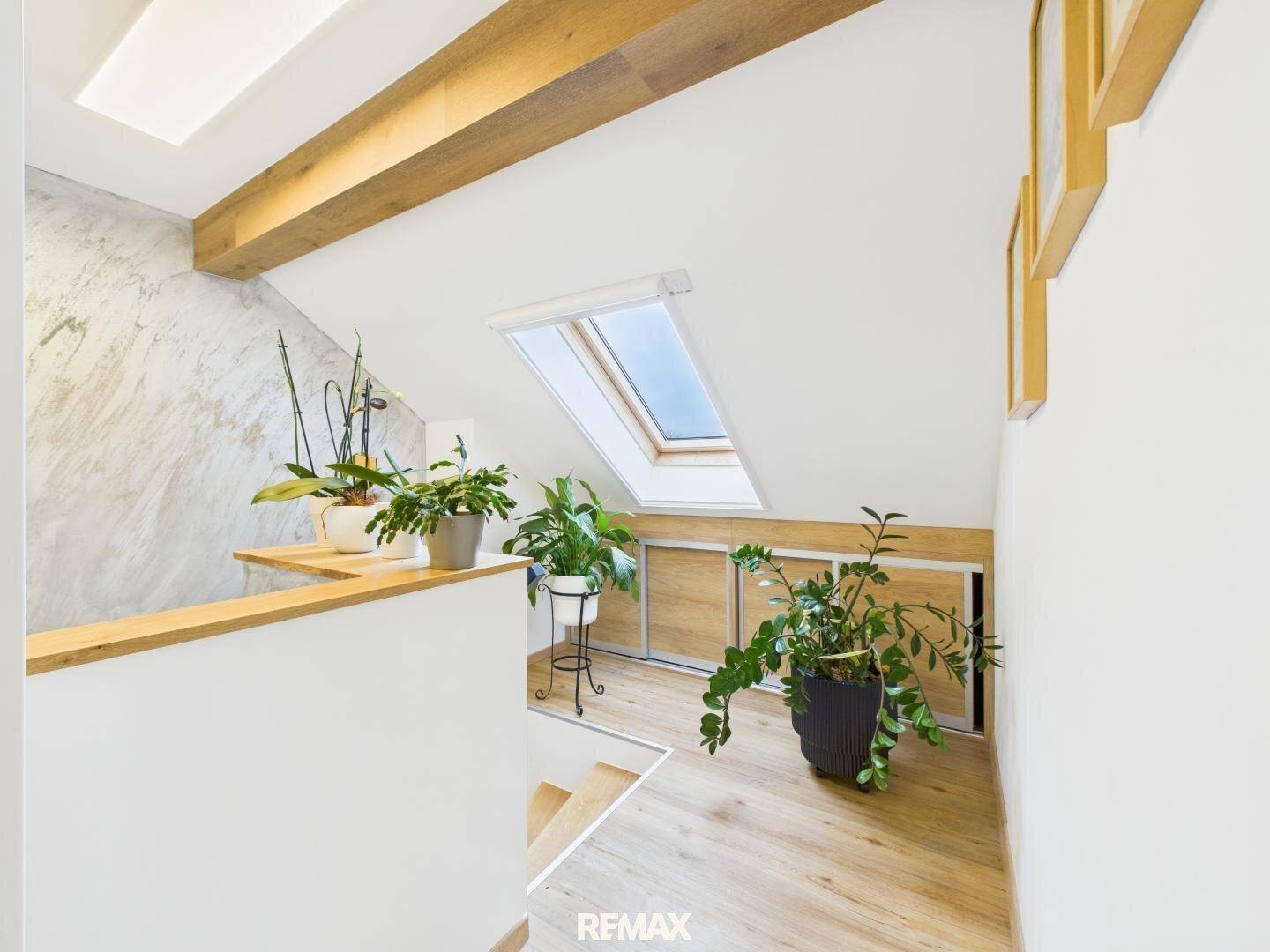Heller Flur im Dachgeschoss mit Holzbalken, Pflanzen und einem großen Dachfenster.