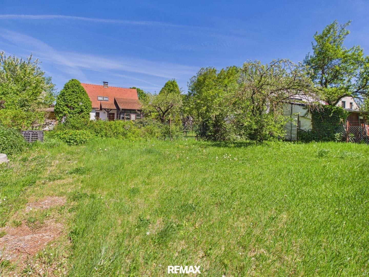 Große grüne Rasenfläche mit Bäumen und einem Haus im Hintergrund.