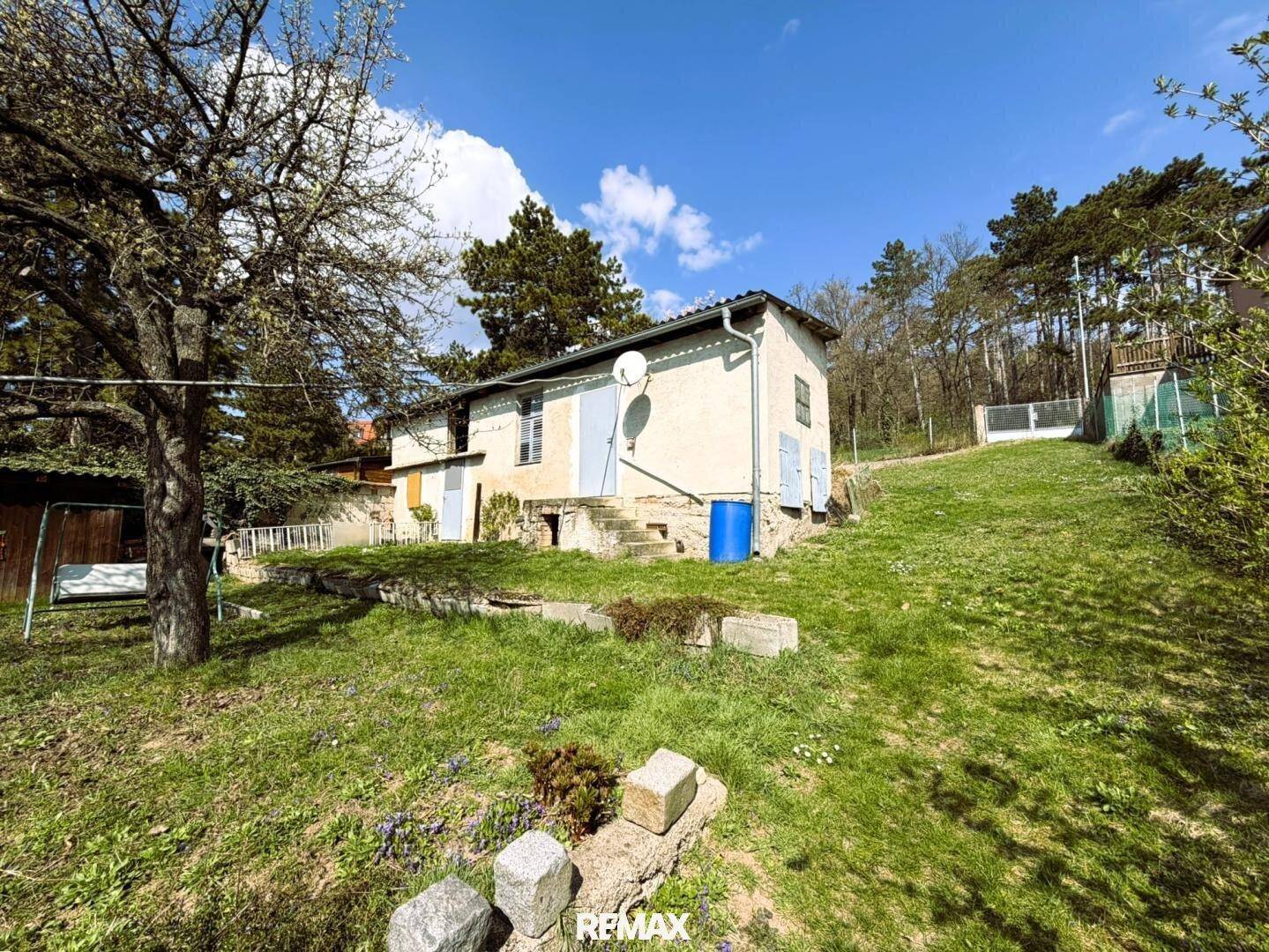 Großer Gartenbereich hinter dem Haus mit viel Grün und Bäumen, ideal zum Entspannen.