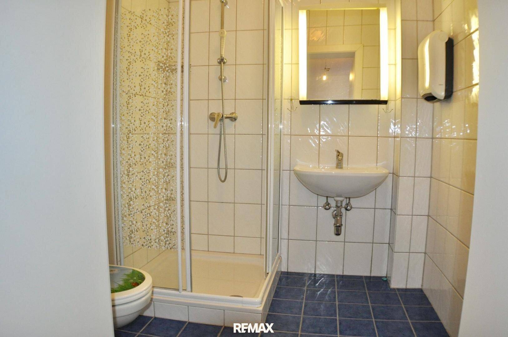 Badezimmer mit Duschkabine, Waschbecken und WC, gefliest in Weiß und Blau, mit Spiegelschrank.