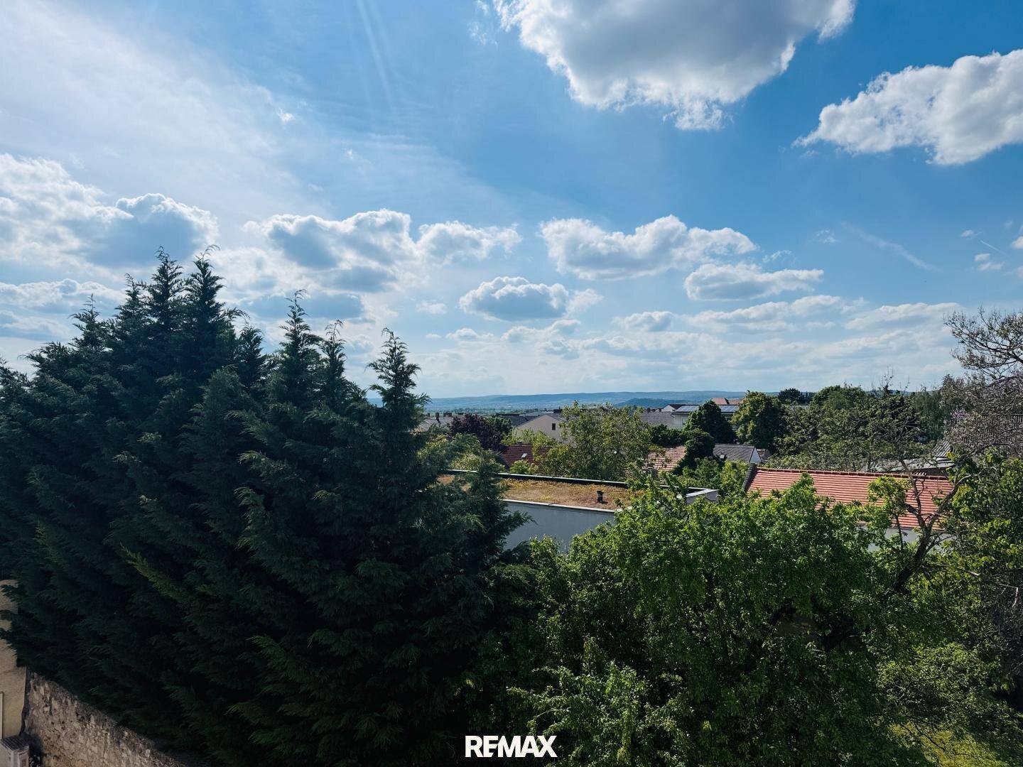 Weitläufiger Blick über die grüne Landschaft und die Dächer der umliegenden Häuser.