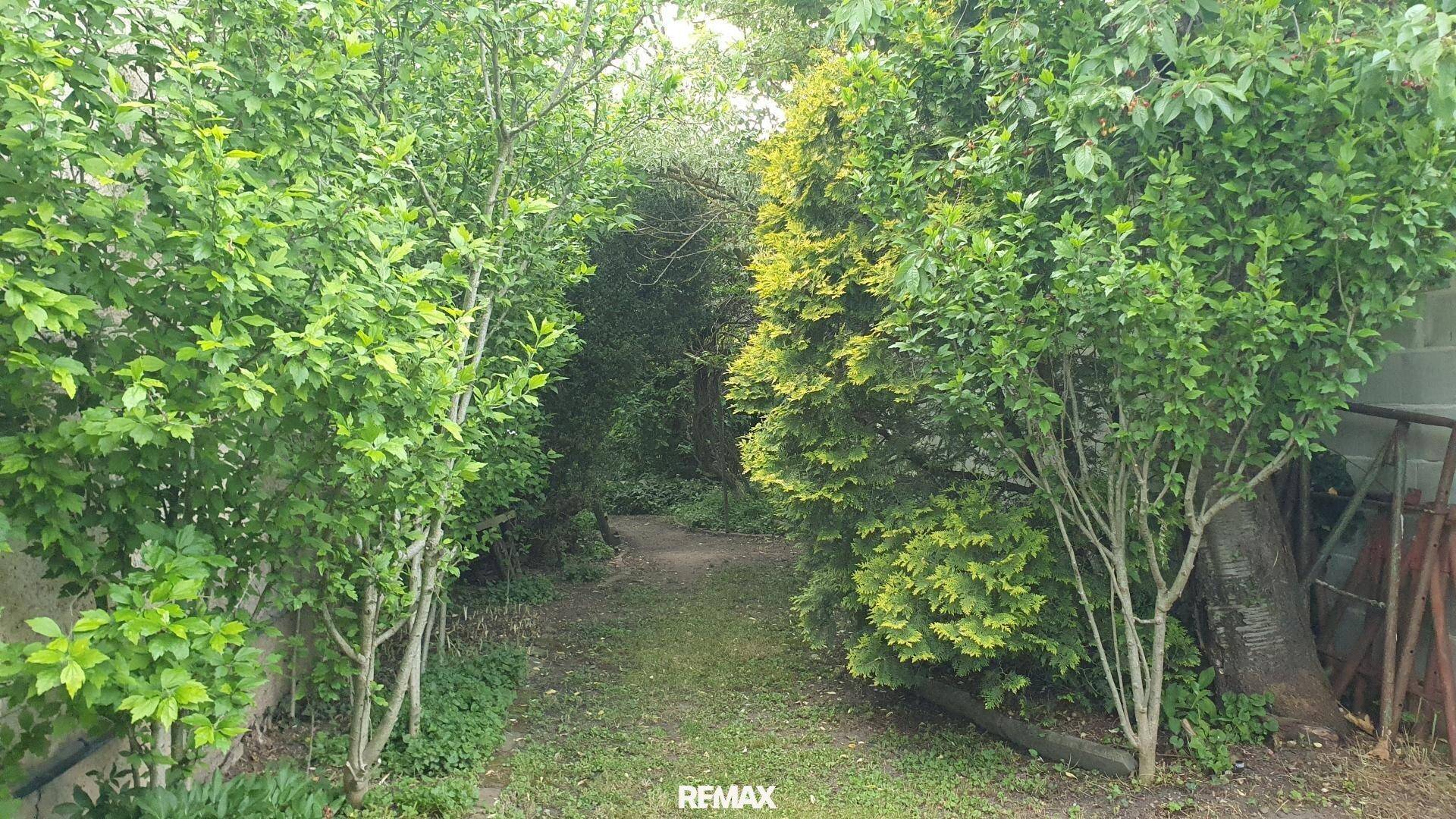 Verwunschener Gartenweg führt durch dichtes Grün und verschiedene Bäume und Sträucher.