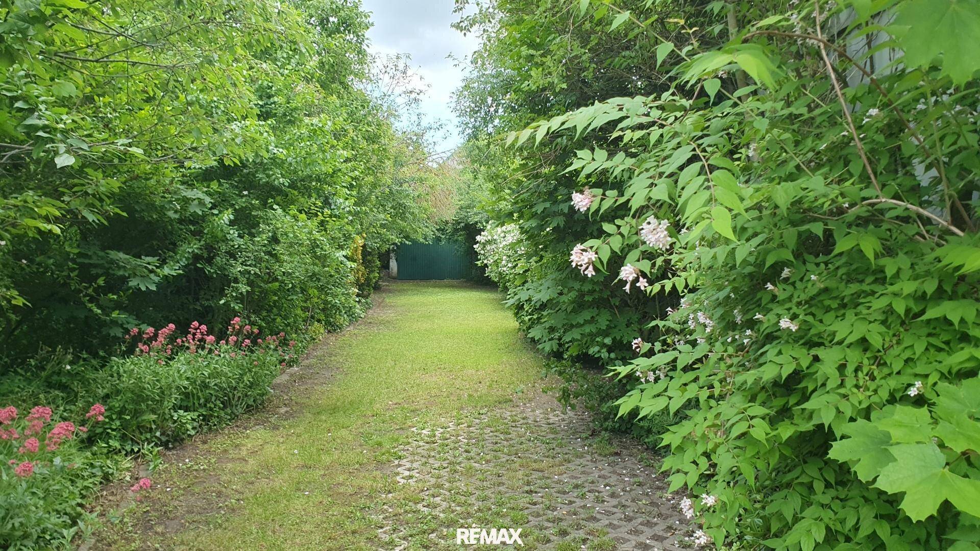Gepflasterter Weg mit Grasbewuchs, umgeben von blühenden Sträuchern und Bäumen im Garten.