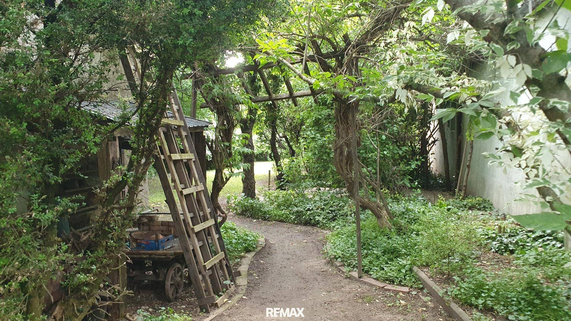 Geschwungener Gartenweg schlängelt sich durch üppiges Grün mit alten Bäumen und einer Holzleiter.