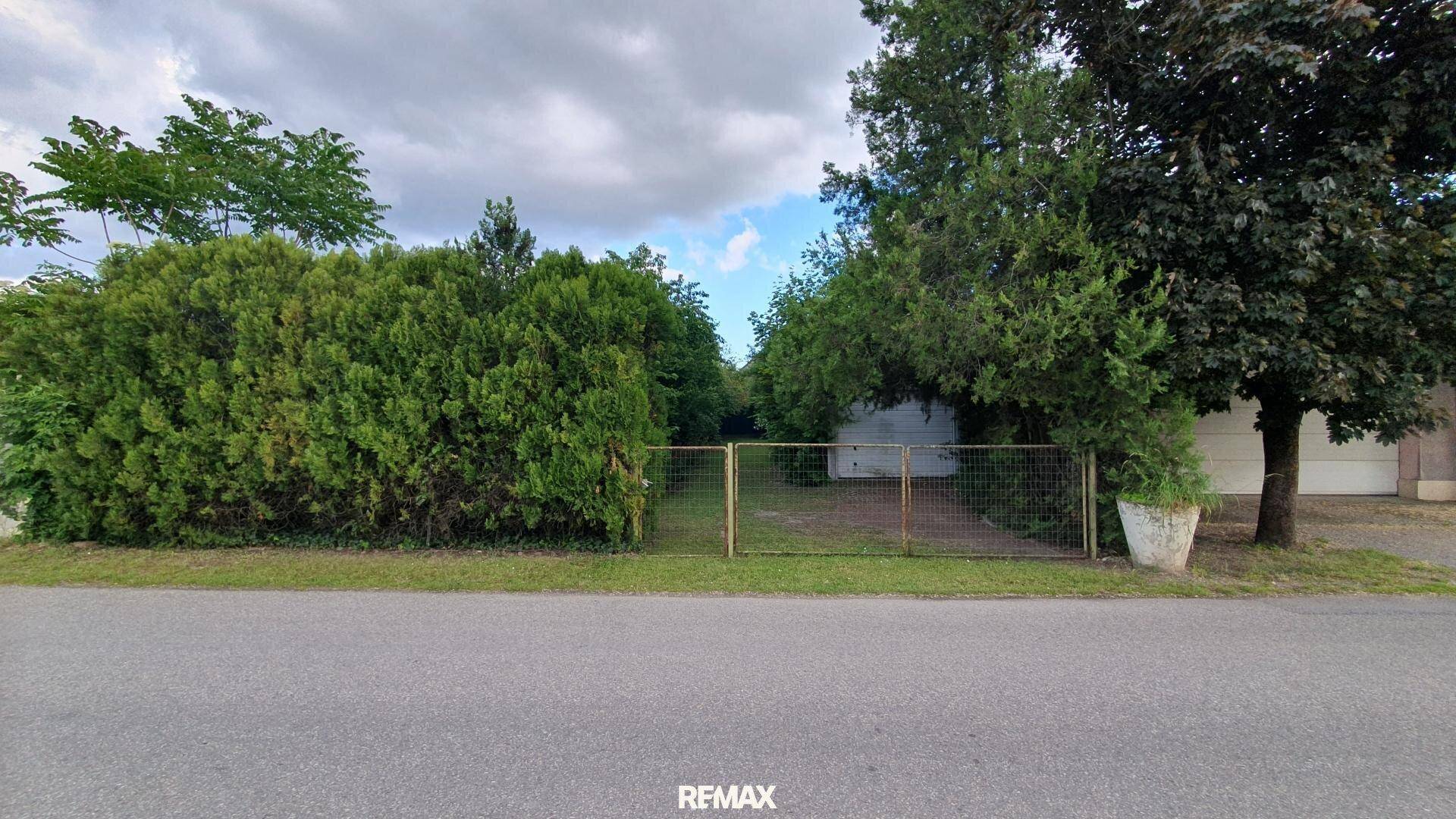 Blick von der Straße auf das Grundstück mit Zaun, dichter Hecke und Bäumen vor einer Garage.