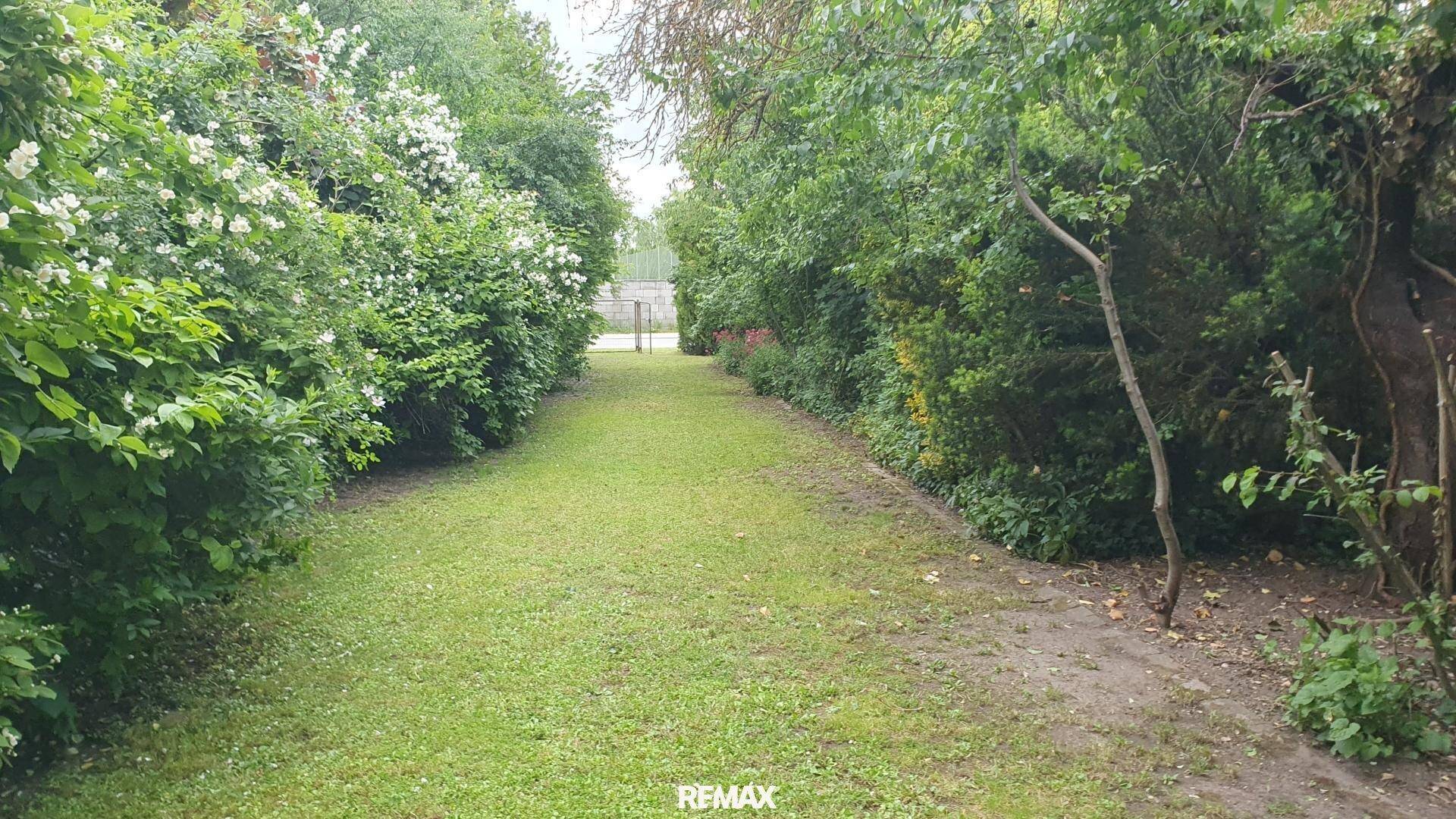 Langer, schmaler Rasenweg gesäumt von dichten Büschen und Bäumen, führt in die Ferne.