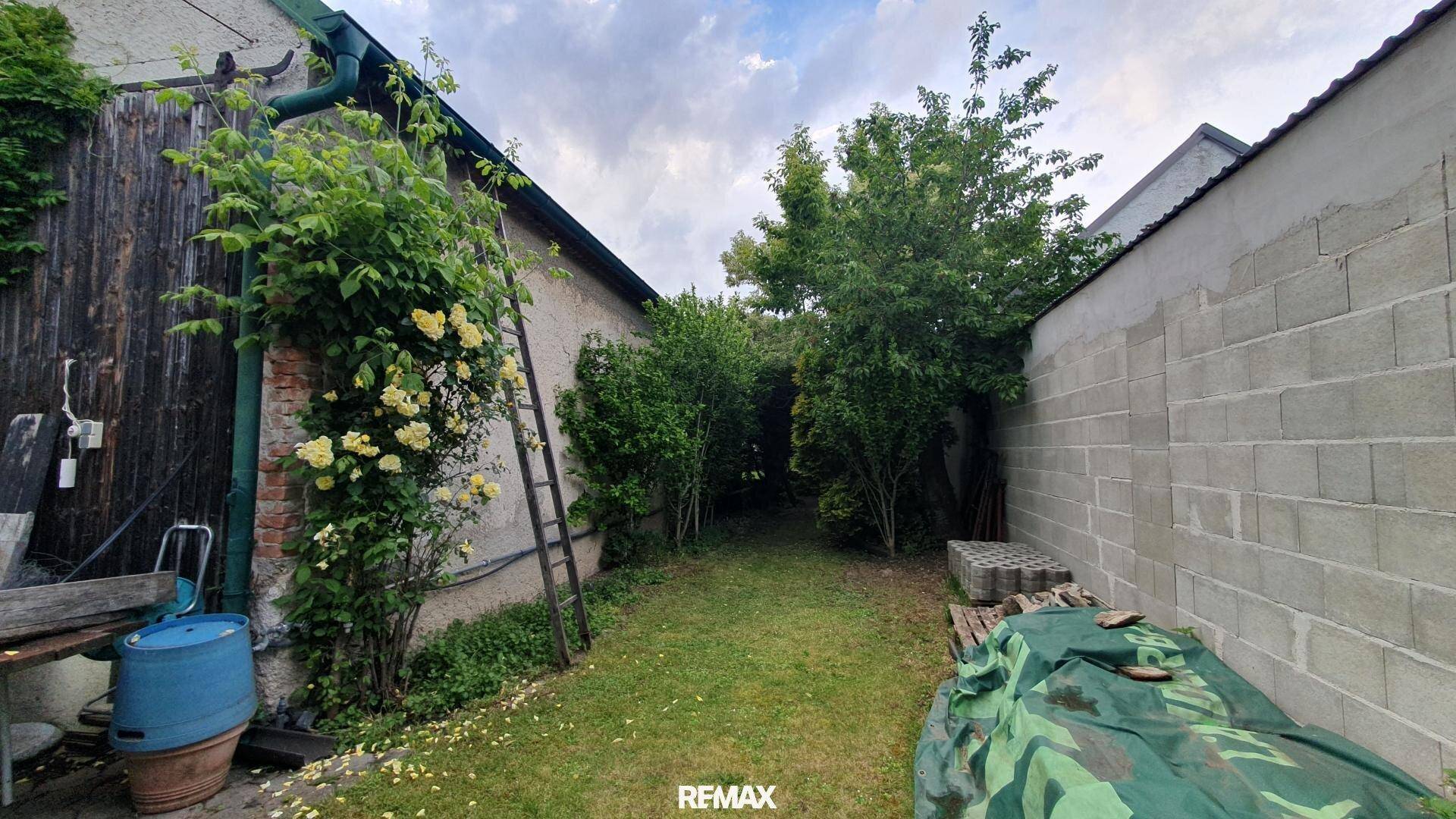 Schmaler Gartenbereich zwischen zwei Gebäuden mit Rasenfläche und einer Leiter an der Wand.