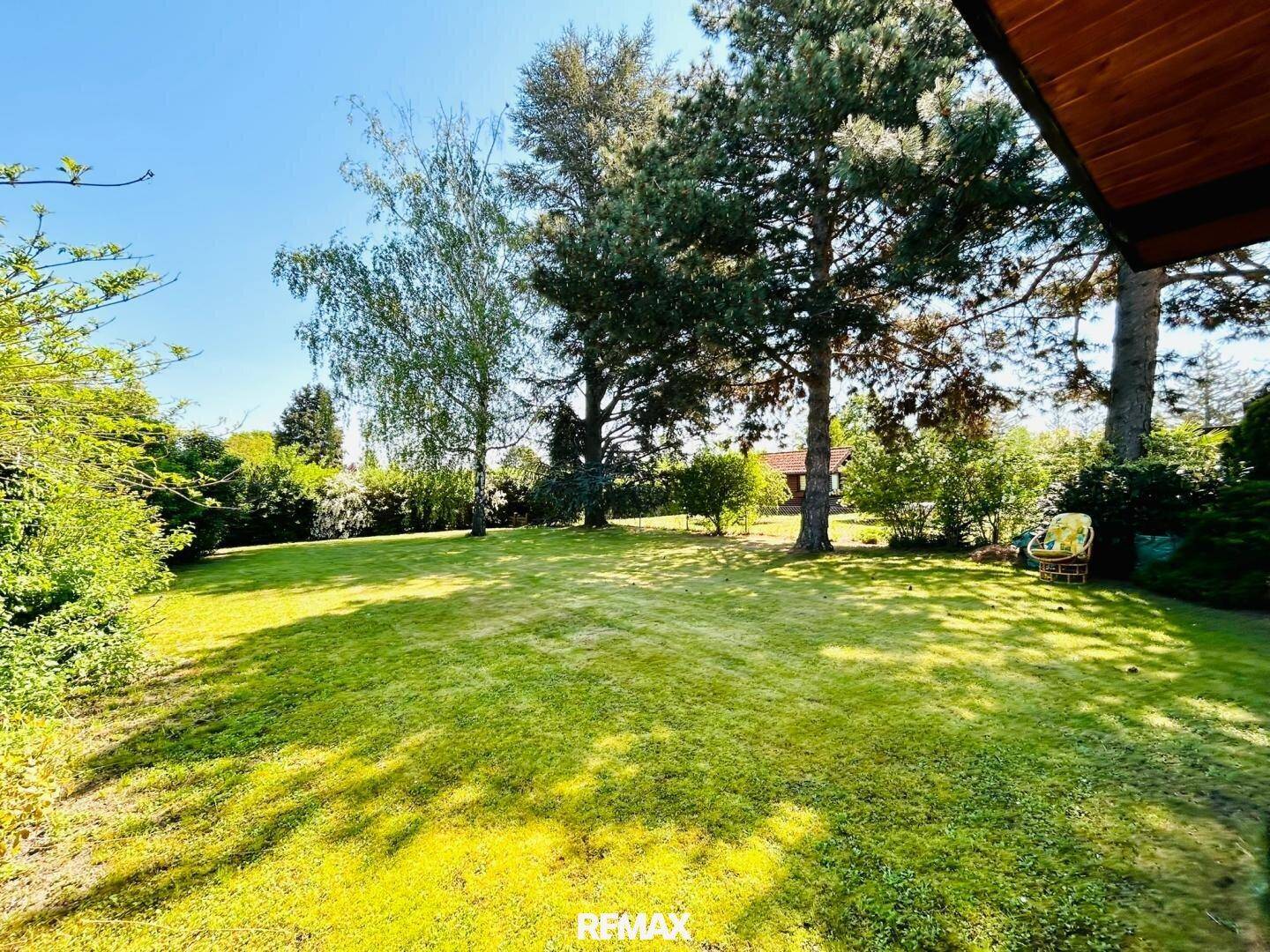 Großer, sonniger Garten mit altem Baumbestand und viel Grünfläche.