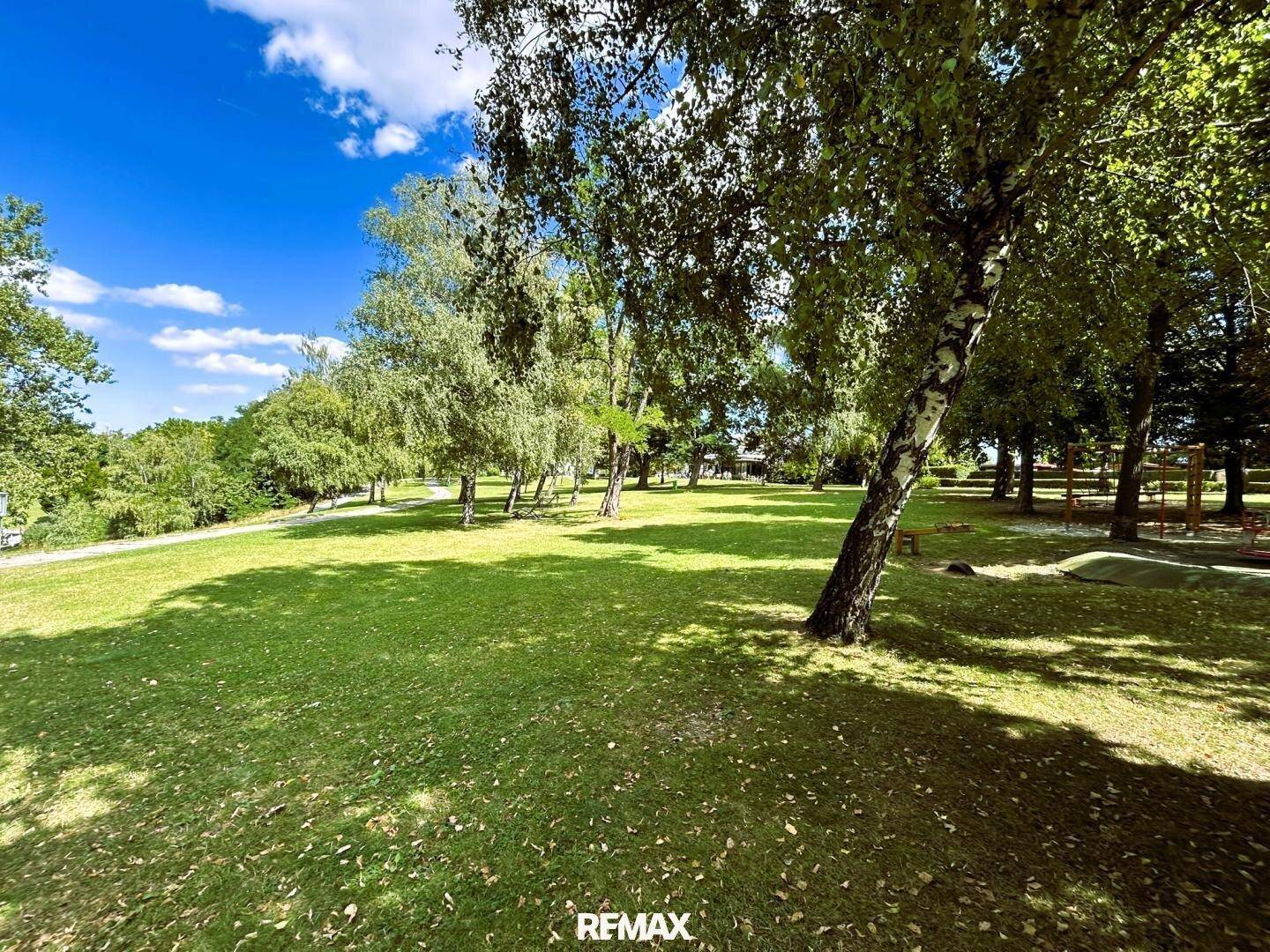 Weitläufige Grünfläche mit Bäumen und einem Spielplatz im Hintergrund unter blauem Himmel.