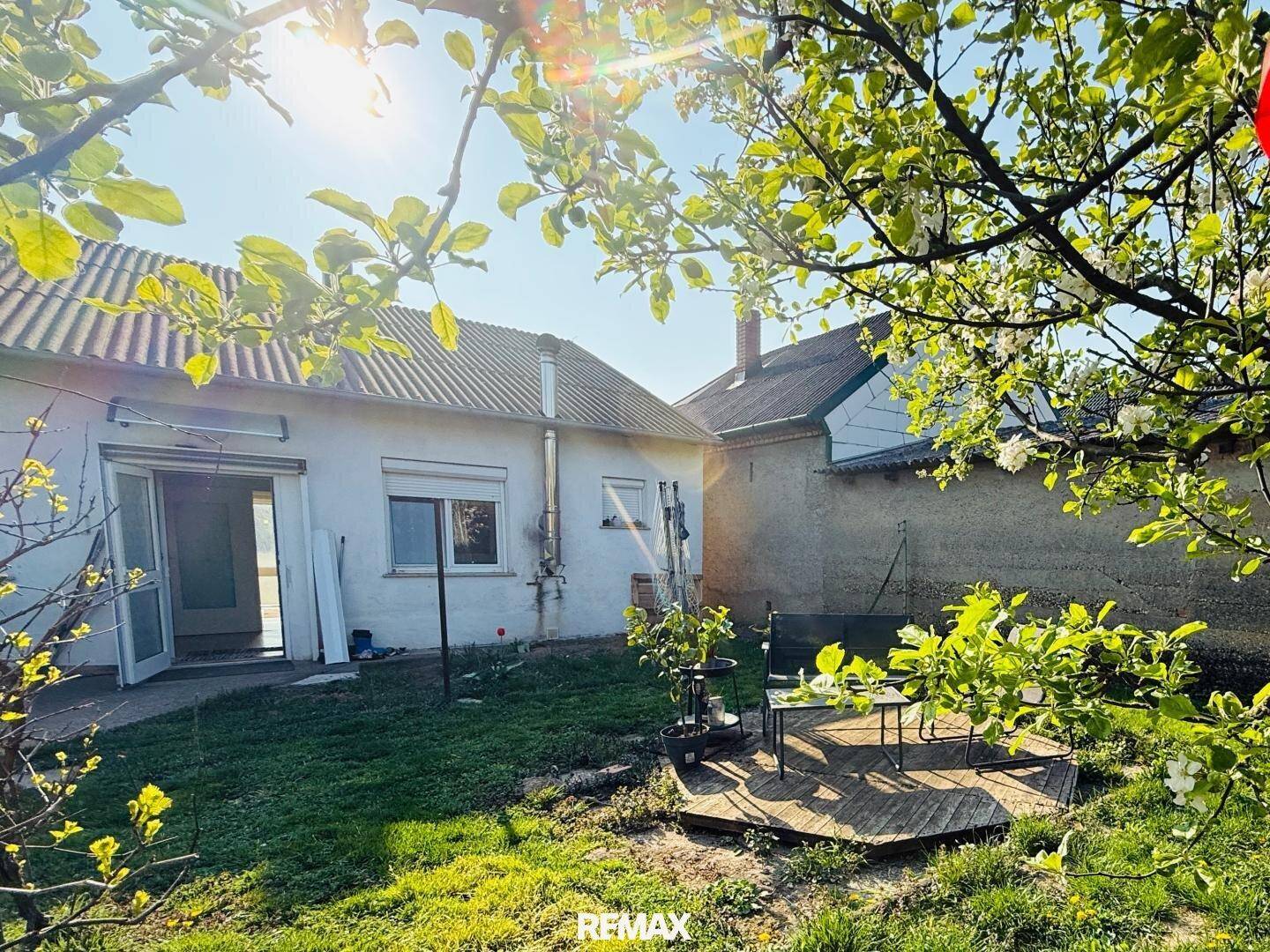 Sonniger Gartenbereich hinter dem Haus, umgeben von blühenden Bäumen und einer kleinen Terrasse.