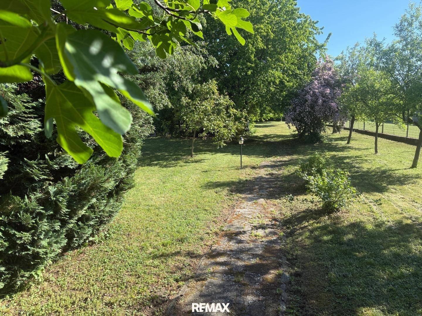 Gepflegter Gartenbereich mit einem Steinpfad, umgeben von verschiedenen Bäumen und Sträuchern.