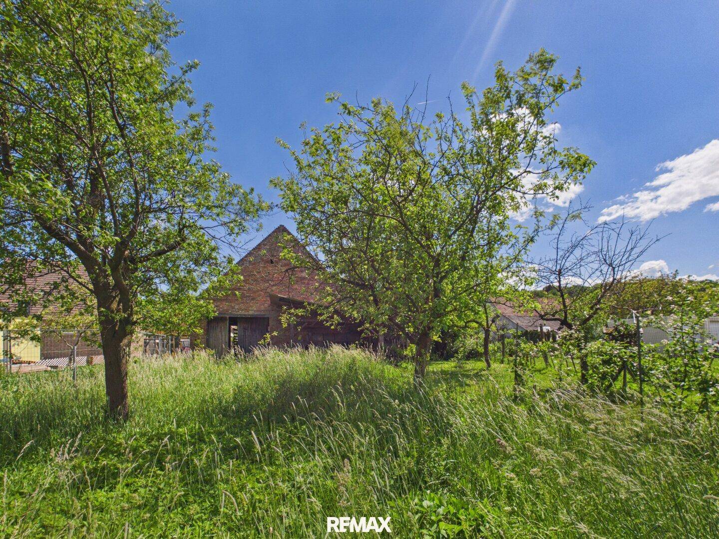 Weitläufiges grünes Feld mit Bäumen und einer alten Scheune im Hintergrund.