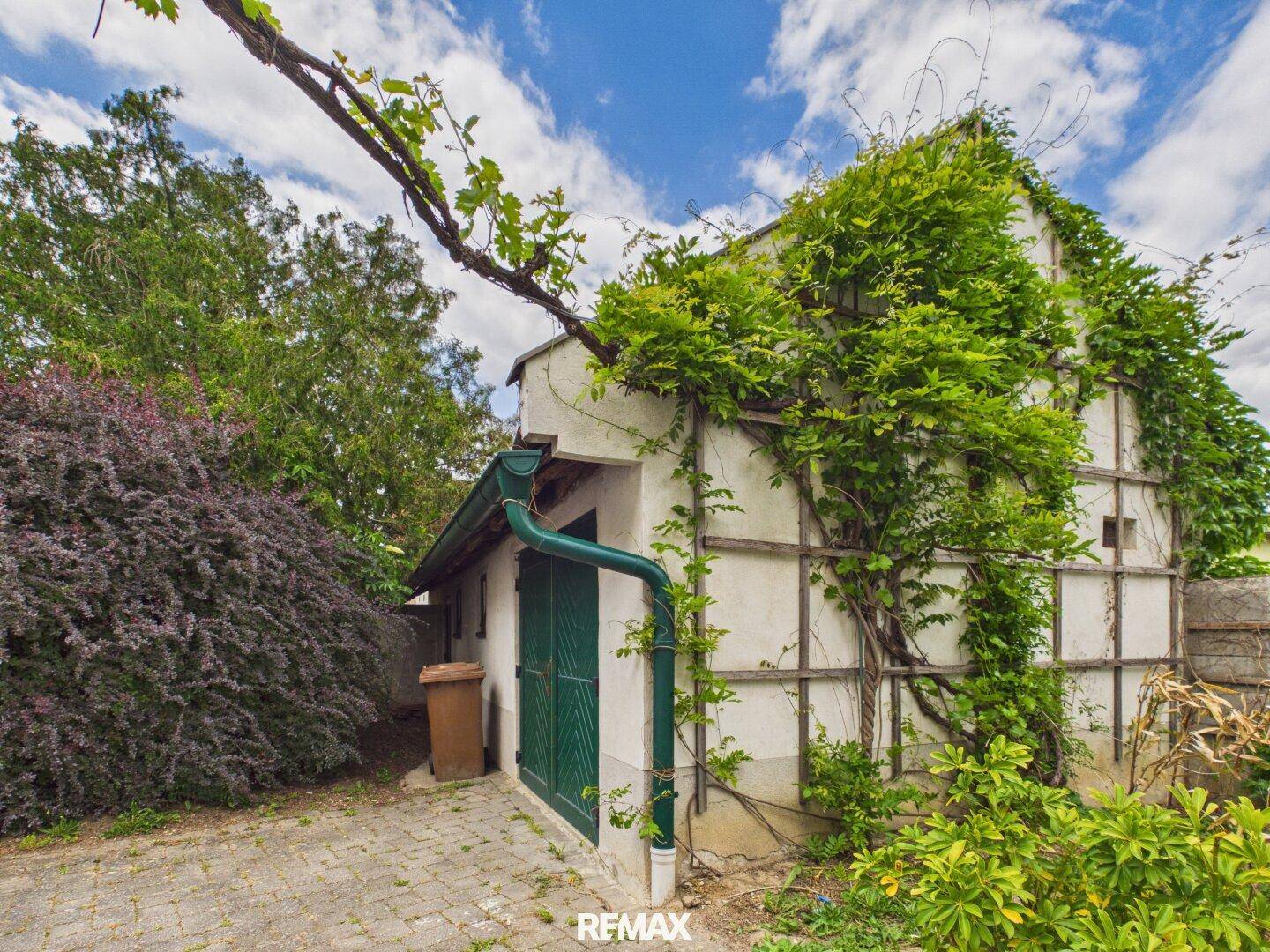 Kleines Nebengebäude im Garten, bewachsen mit Kletterpflanzen und mit grünem Fallrohr.