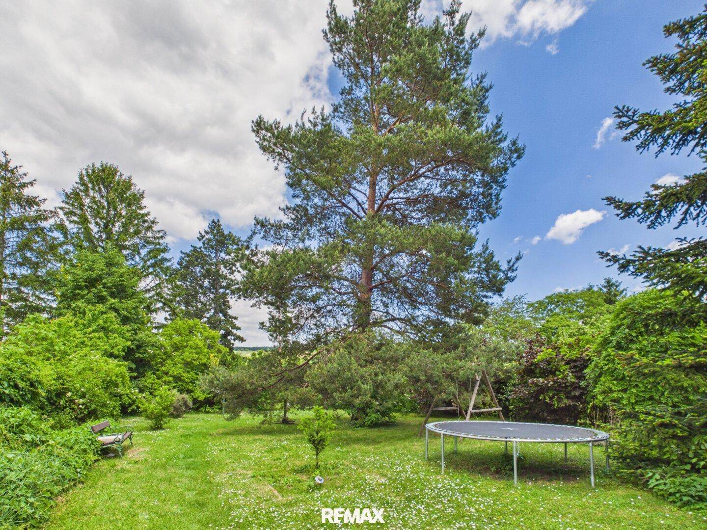 Großer Garten mit Rasenfläche, hohen Bäumen und einem Trampolin unter blauem Himmel.