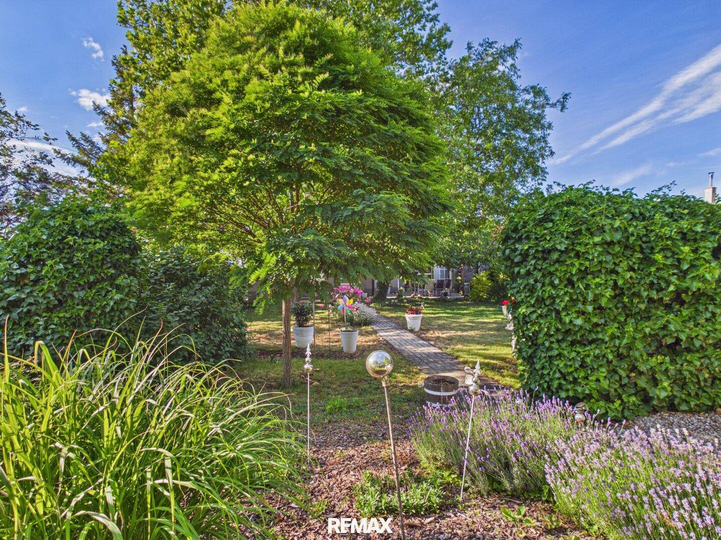 Gepflegter Garten mit einem Steinweg, Lavendel und üppigem Grün.