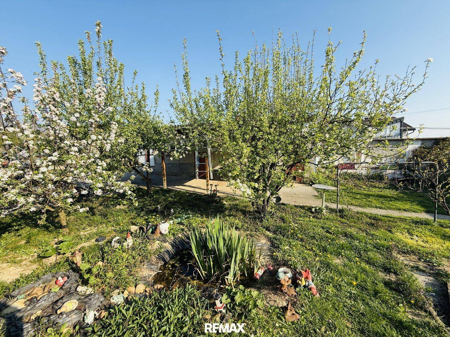 Gepflegter Garten mit einem kleinen Teich, umgeben von üppigem Grün und blühenden Bäumen.