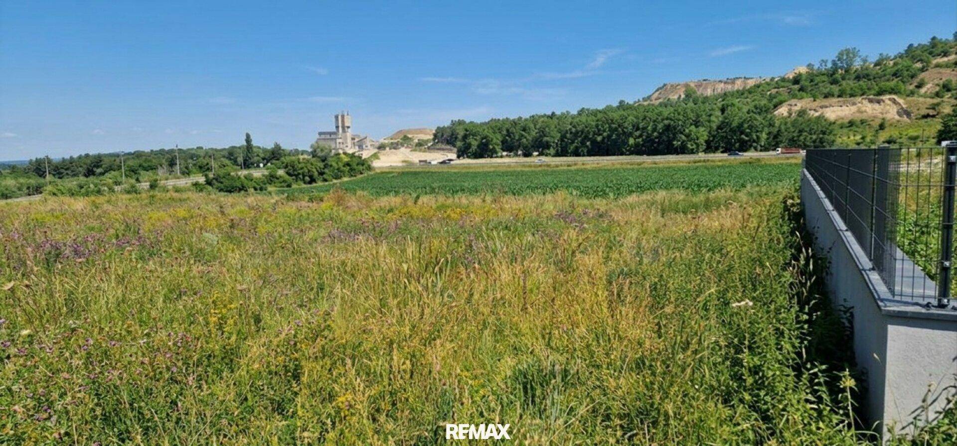 Weitläufiges Feld mit hohem Gras und einem Gebäude in der Ferne, umgeben von Hügeln und Bäumen unter blauem Himmel.