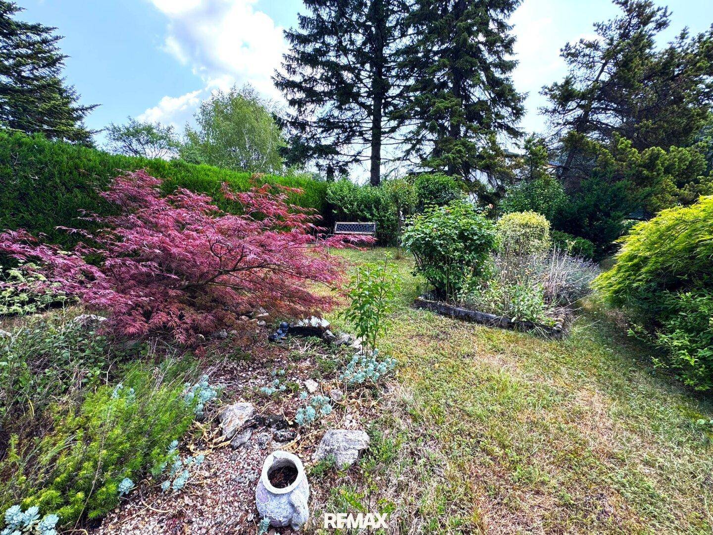 Gepflegter Gartenbereich mit verschiedenen Pflanzen, Sträuchern und einer Gartenbank.