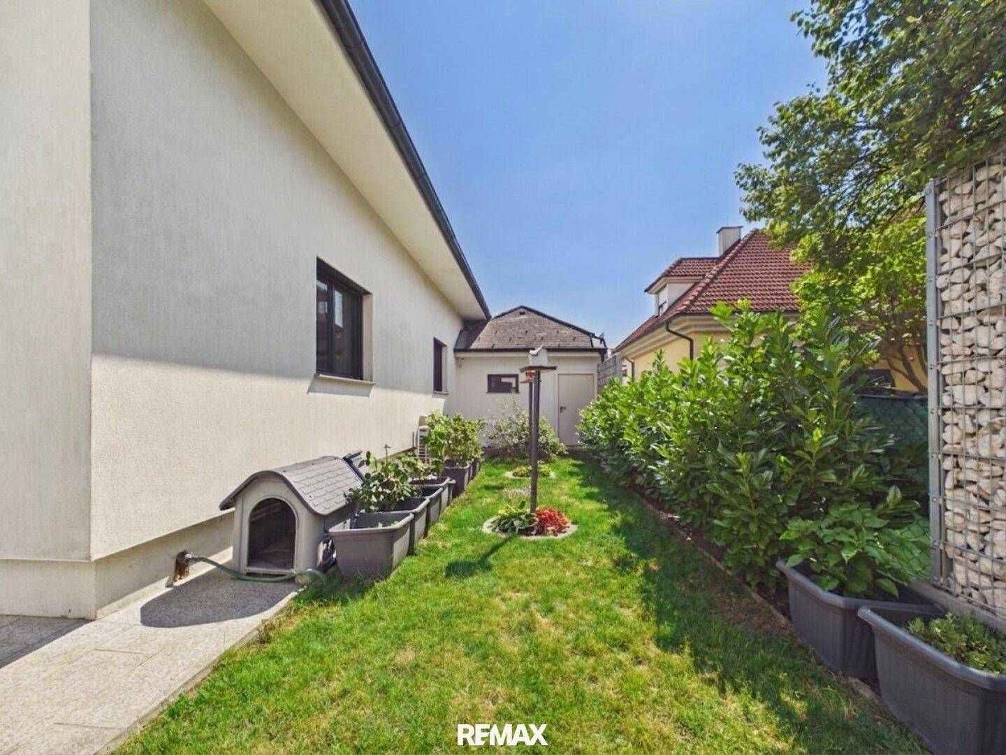Seitlicher Gartenbereich mit Rasenfläche, Pflanzkübeln und einer Gabionenwand.