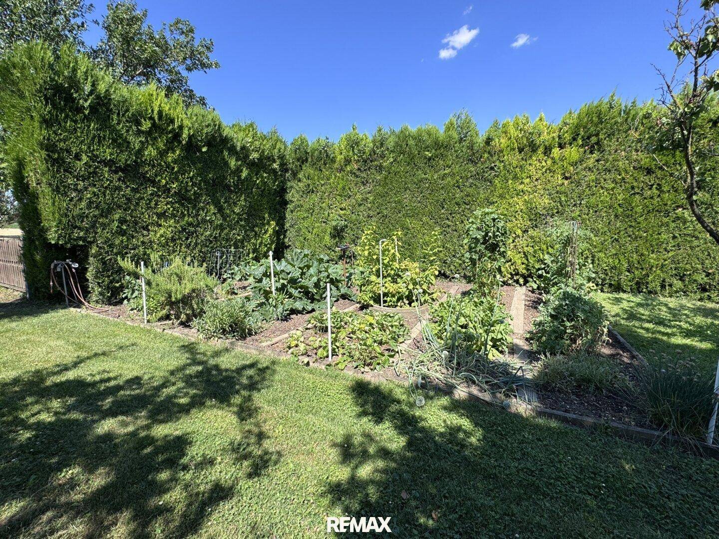 Gepflegter Gartenbereich mit hohem Hecken als Sichtschutz und einem Gemüsegarten.