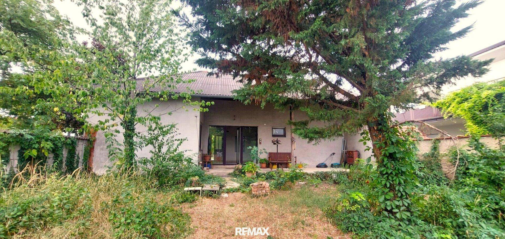 Rückseite des Hauses mit kleiner Terrasse und großem, naturbelassenem Gartenbereich.
