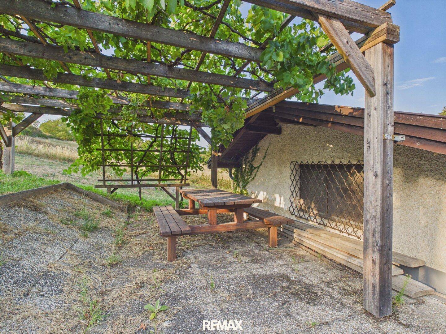 Gemütlicher Außenbereich mit Holztisch unter einer von Weinreben bewachsenen Pergola.