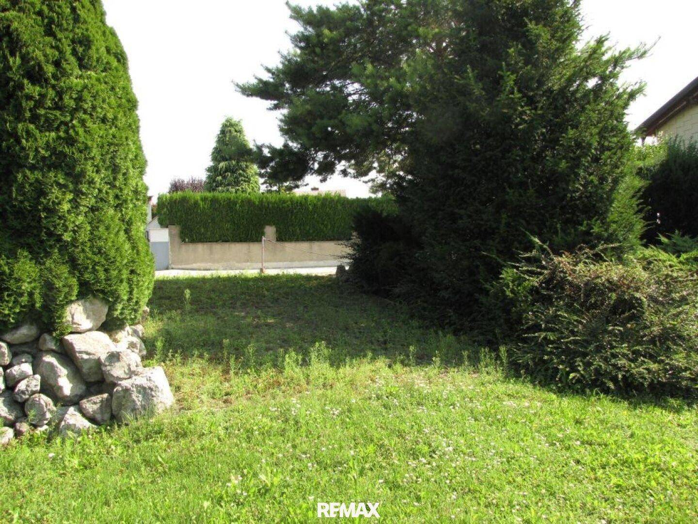 Naturbelassener Gartenbereich mit Gras, Sträuchern und einer Steinmauer im Hintergrund.