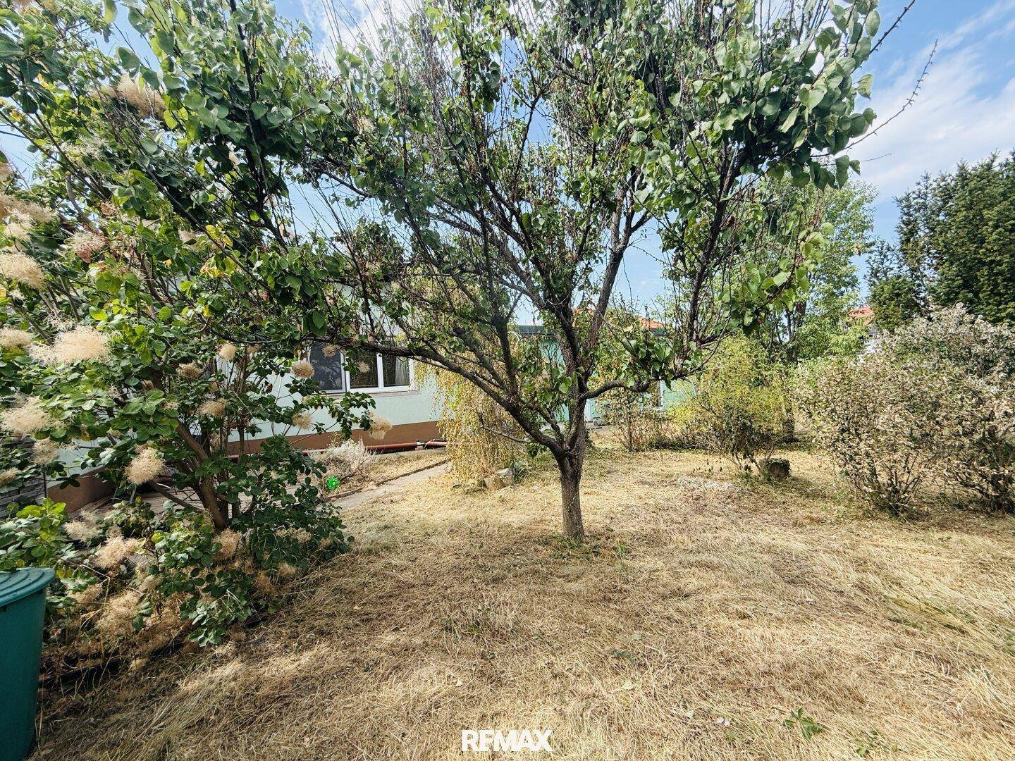 Gartenansicht mit einem Baum im Vordergrund und dem Haus im Hintergrund, umgeben von trockenem Gras.
