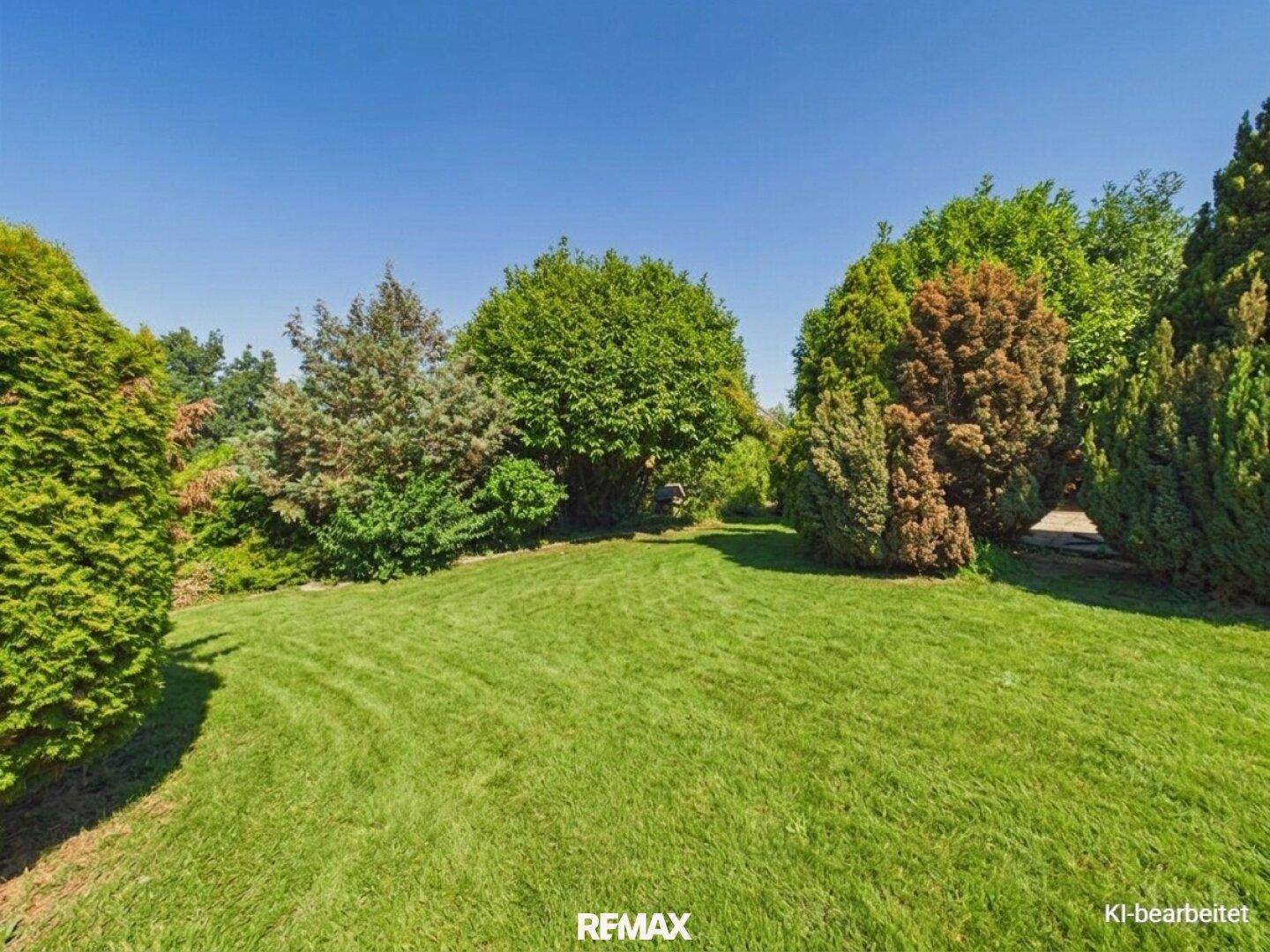 Weitläufiger, gepflegter Garten mit Rasen und hohen Bäumen unter klarem Himmel.